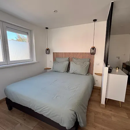 Les Petites Plumes D'hag * Haguenau