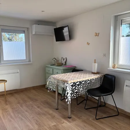 Les Petites Plumes D'hag Apartamento Haguenau